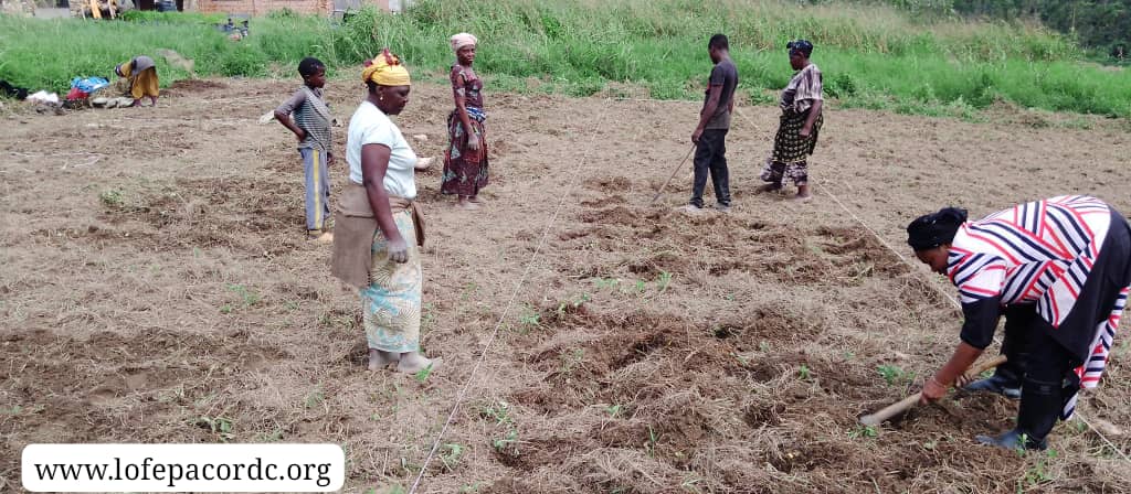 La LOFEPACO et trois autres Organisations Paysannes s’activent pour faire face aux défis agricoles que traversent les producteurs dans le Nord-Kivu à travers le projet FO-RI