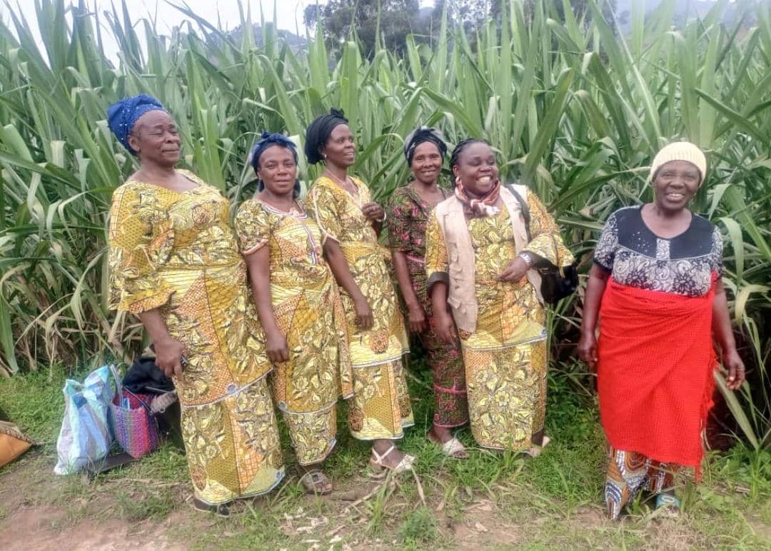 Journée mondiale de la femme rurale 2024 : Valoriser les actrices essentielles du développement agricole