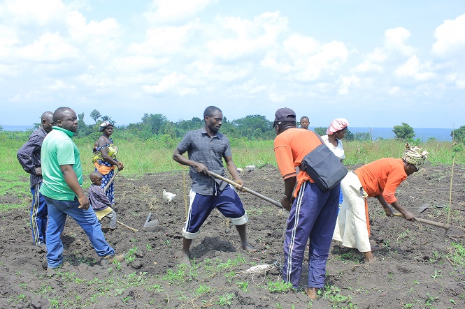 Le site de Ighaviro installe son deuxième champ école de la saison de Septembre 2025 pour la recherche-action dans le cadre du projet FORI